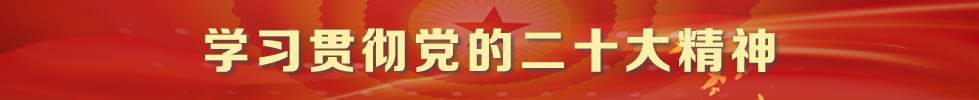 贯彻二十大精神.png